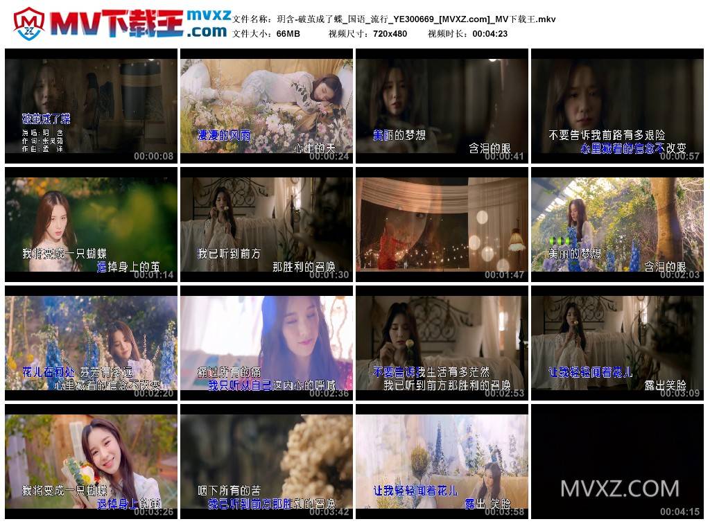 玥含-破茧成了蝶_国语_流行_YE300669